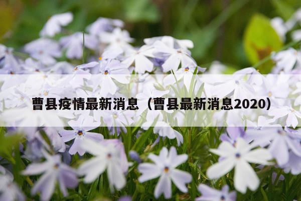 曹县疫情最新消息（曹县最新消息2020）