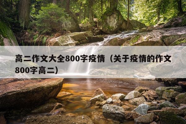高二作文大全800字疫情（关于疫情的作文800字高二）