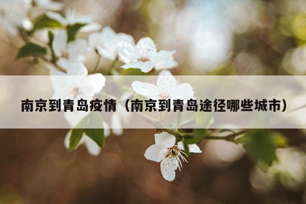 南京到青岛疫情（南京到青岛途径哪些城市）