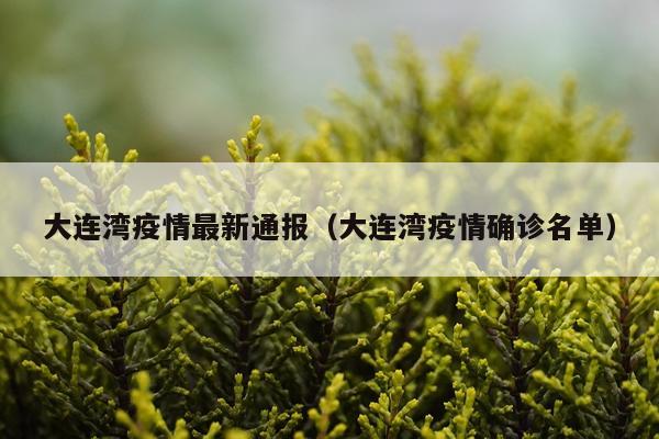 大连湾疫情最新通报（大连湾疫情确诊名单）