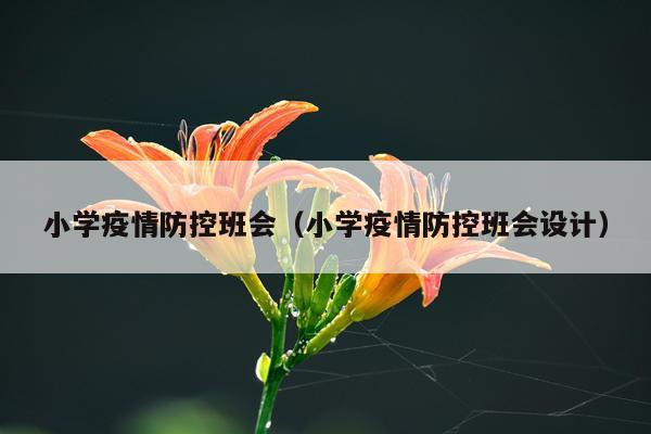 小学疫情防控班会（小学疫情防控班会设计）
