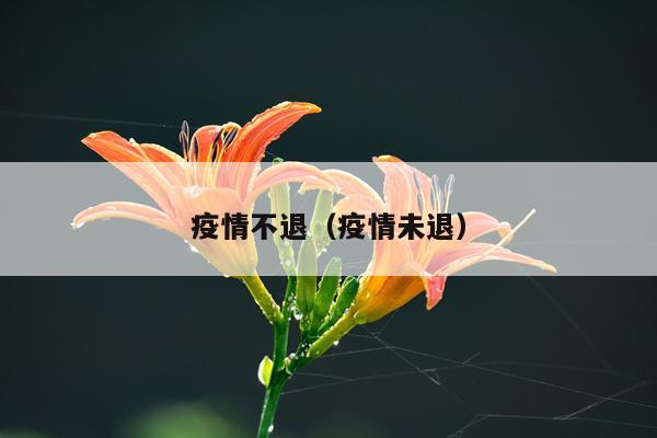疫情不退（疫情未退）
