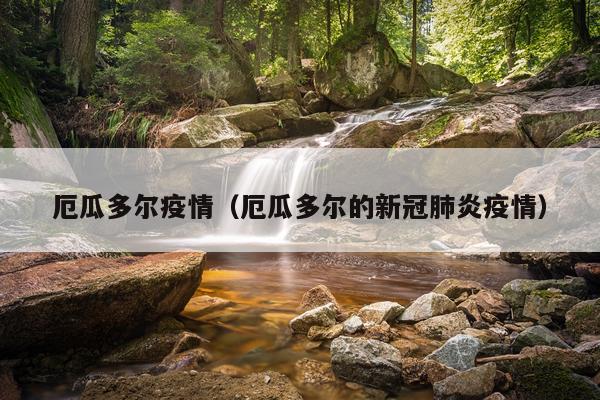 厄瓜多尔疫情（厄瓜多尔的新冠肺炎疫情）