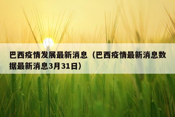 巴西疫情发展最新消息（巴西疫情最新消息数据最新消息3月31日）