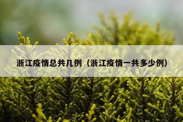 浙江疫情总共几例（浙江疫情一共多少例）