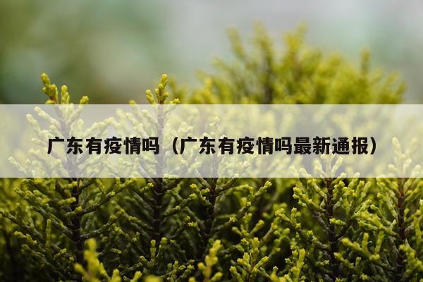广东有疫情吗（广东有疫情吗最新通报）