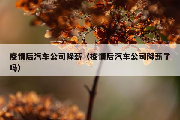 疫情后汽车公司降薪（疫情后汽车公司降薪了吗）