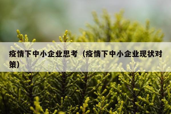 疫情下中小企业思考（疫情下中小企业现状对策）