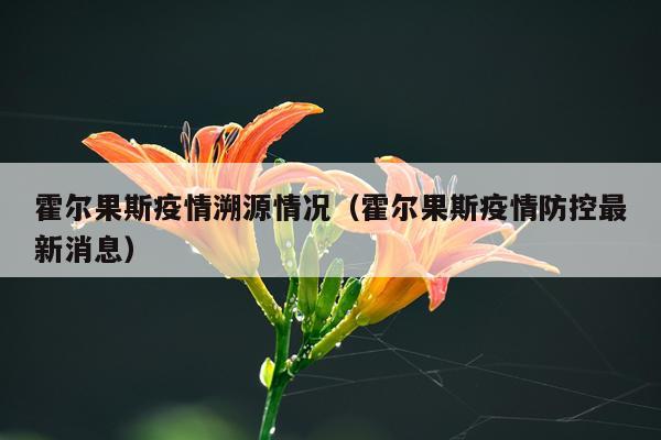 霍尔果斯疫情溯源情况（霍尔果斯疫情防控最新消息）