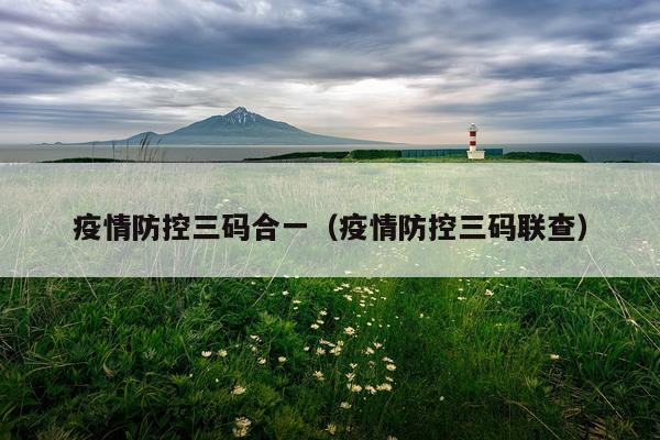 疫情防控三码合一(疫情防控三码联查)