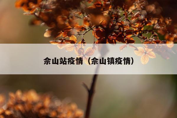 佘山站疫情（佘山镇疫情）