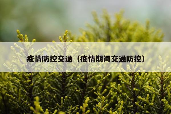 疫情防控交通（疫情期间交通防控）