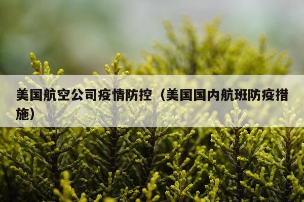 美国航空公司疫情防控（美国国内航班防疫措施）