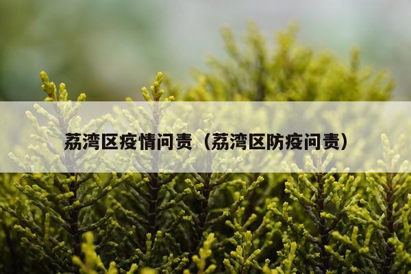荔湾区疫情问责（荔湾区防疫问责）