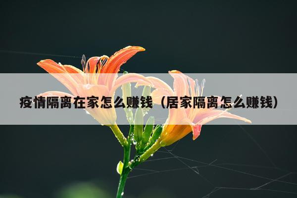 疫情隔离在家怎么赚钱(居家隔离怎么赚钱)