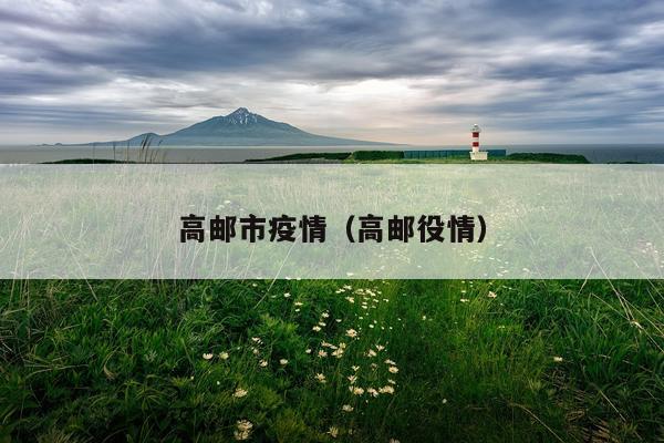 高邮市疫情（高邮役情）