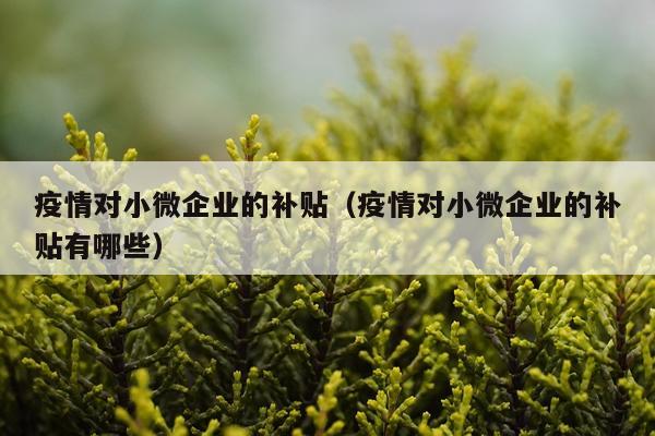 疫情对小微企业的补贴（疫情对小微企业的补贴有哪些）