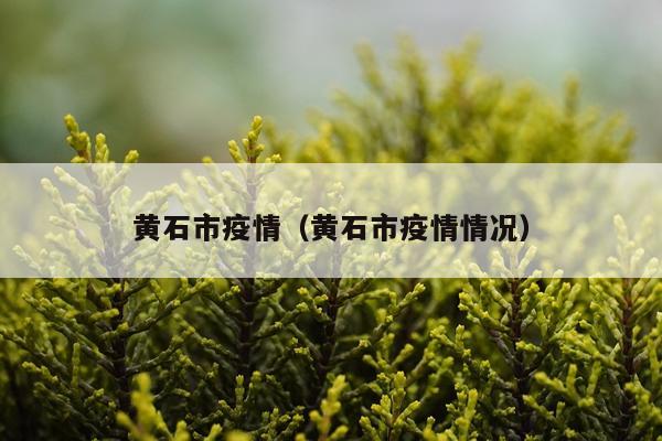 黄石市疫情（黄石市疫情情况）