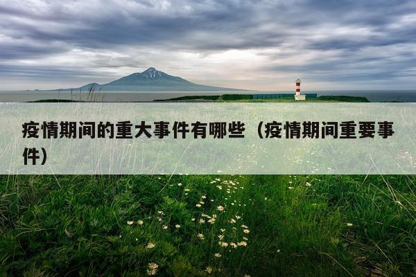 疫情期间的重大事件有哪些(疫情期间重要事件)