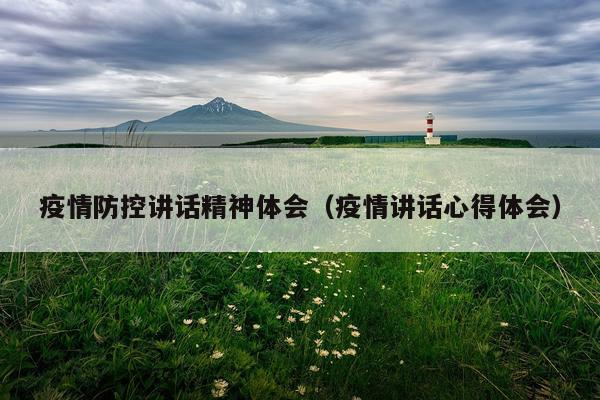 疫情防控讲话精神体会(疫情讲话心得体会)