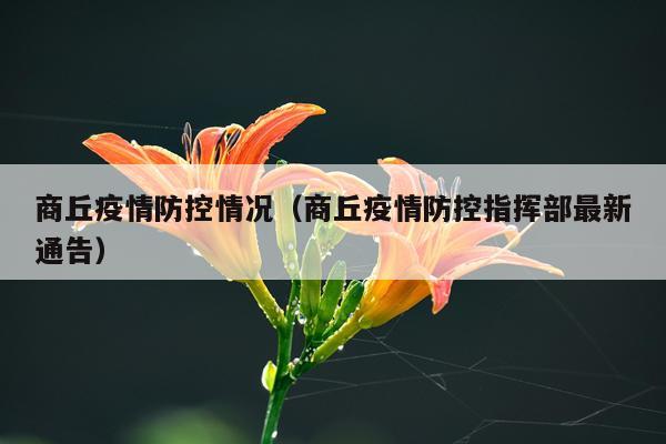 商丘疫情防控情况（商丘疫情防控指挥部最新通告）