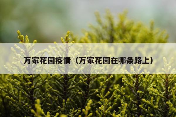 万家花园疫情（万家花园在哪条路上）