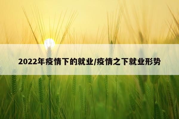 2022年疫情下的就业/疫情之下就业形势